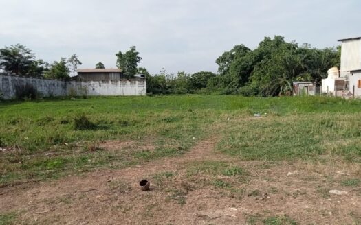 Land for sale at Thatlung area