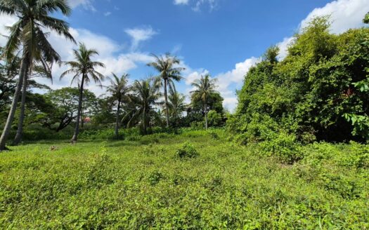 Land for sale