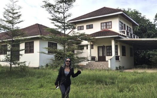 2 Houses + Big land for sale